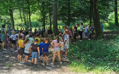 AKTIVNI TEDNI – 2. teden: GOZD